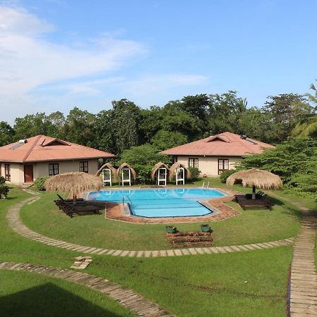 Hibiscus Garden Hotel Tissamaharama Extérieur photo