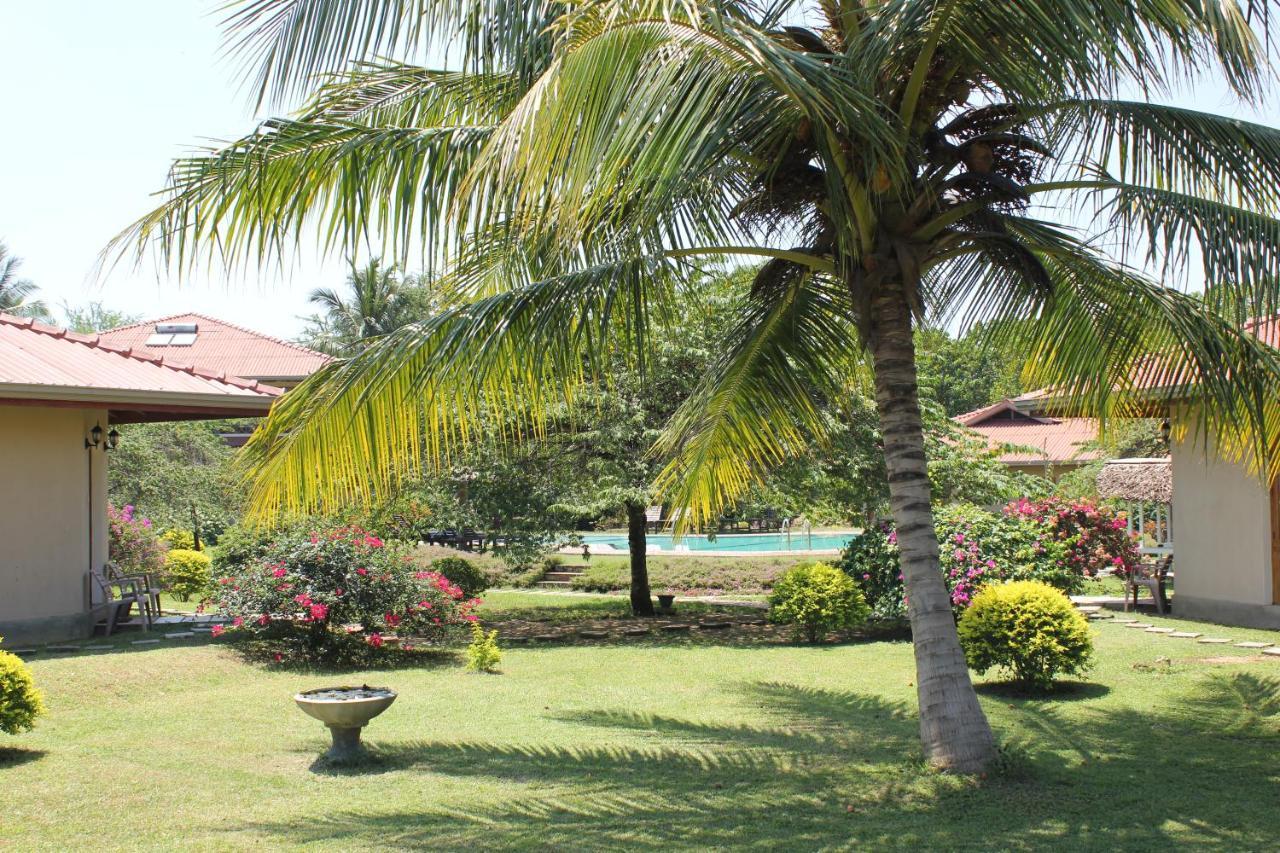 Hibiscus Garden Hotel Tissamaharama Extérieur photo