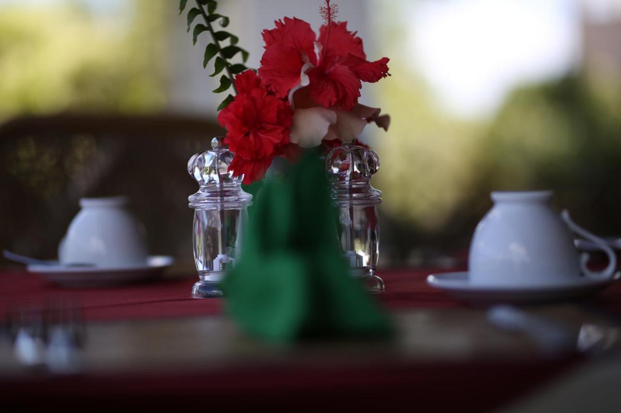 Hibiscus Garden Hotel Tissamaharama Extérieur photo