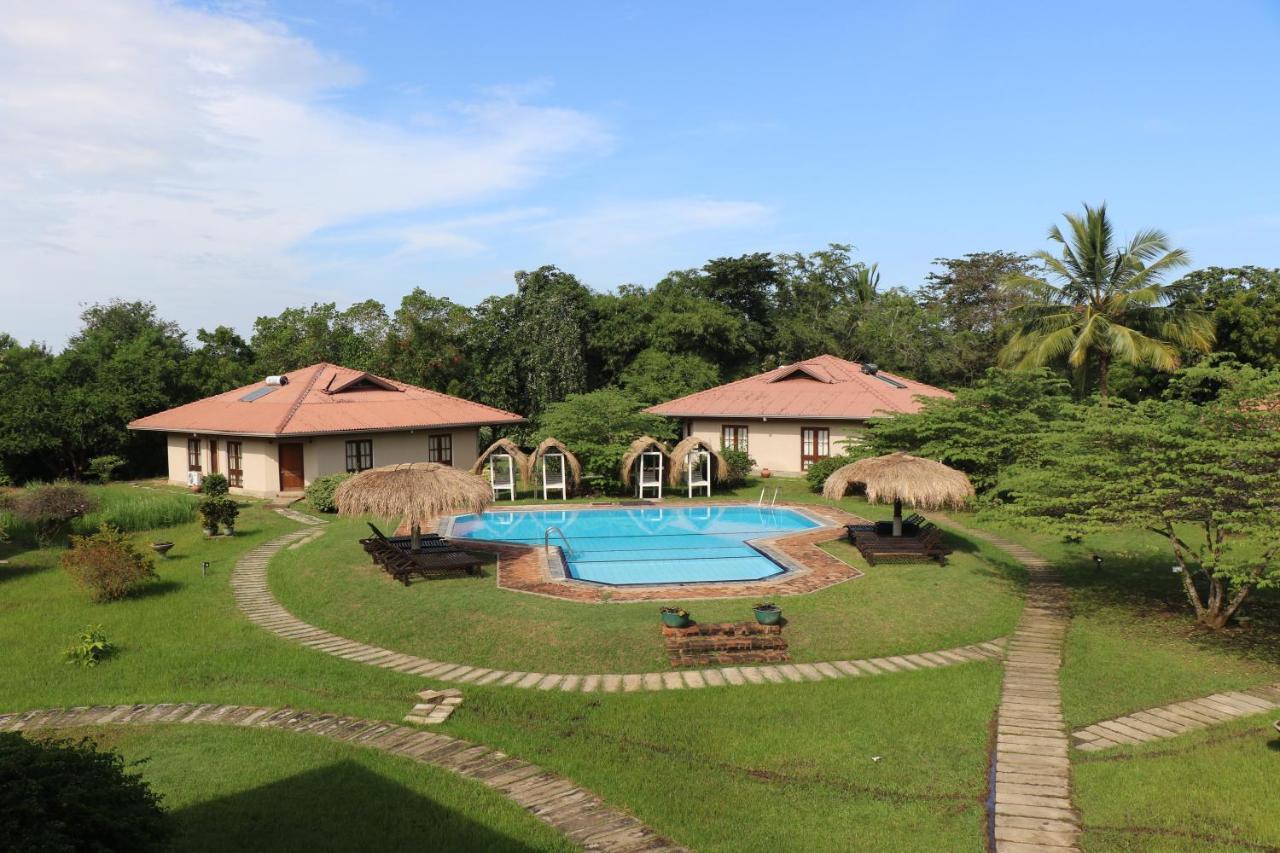 Hibiscus Garden Hotel Tissamaharama Extérieur photo